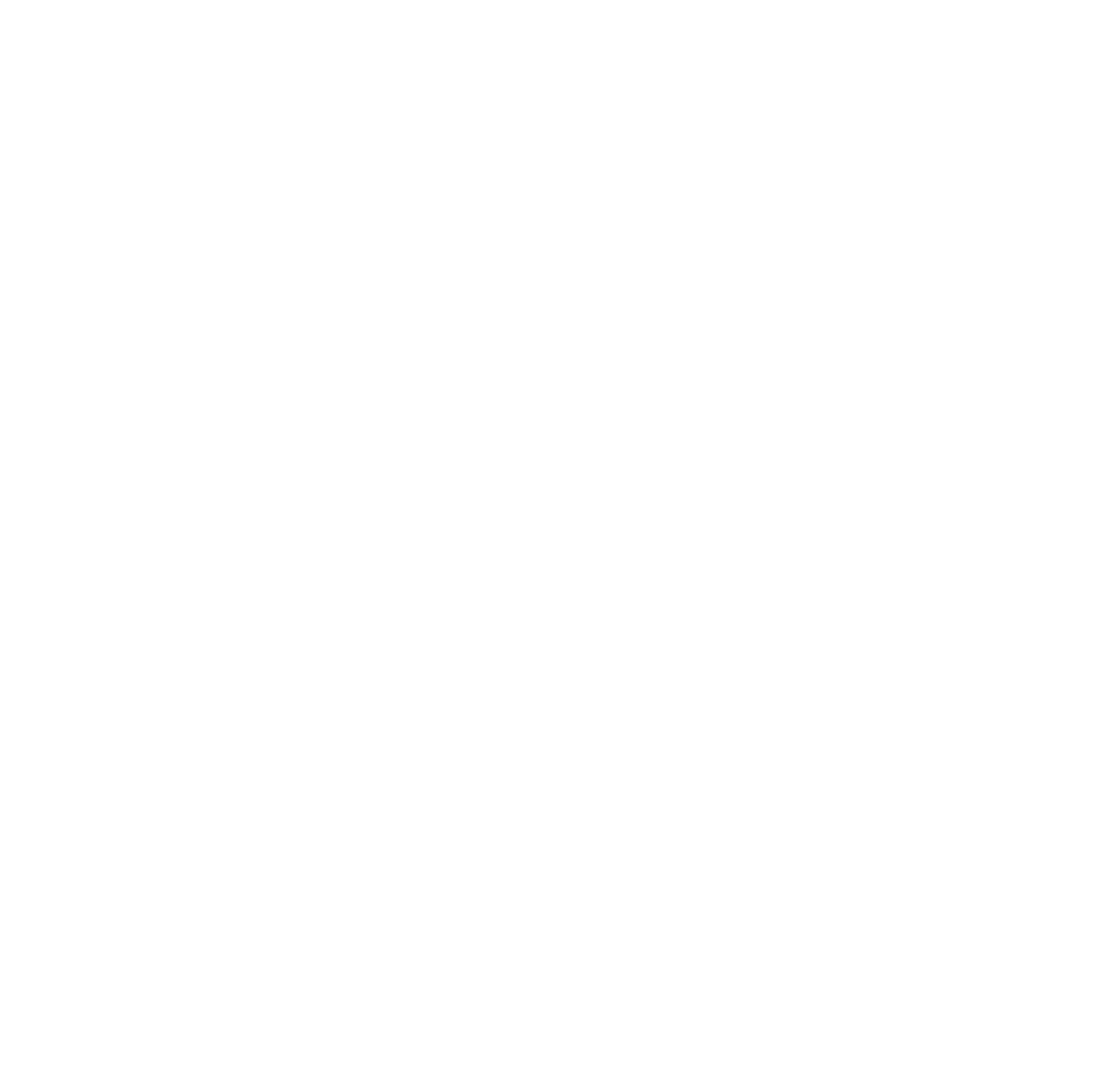 CFNCW Logo 2021-67