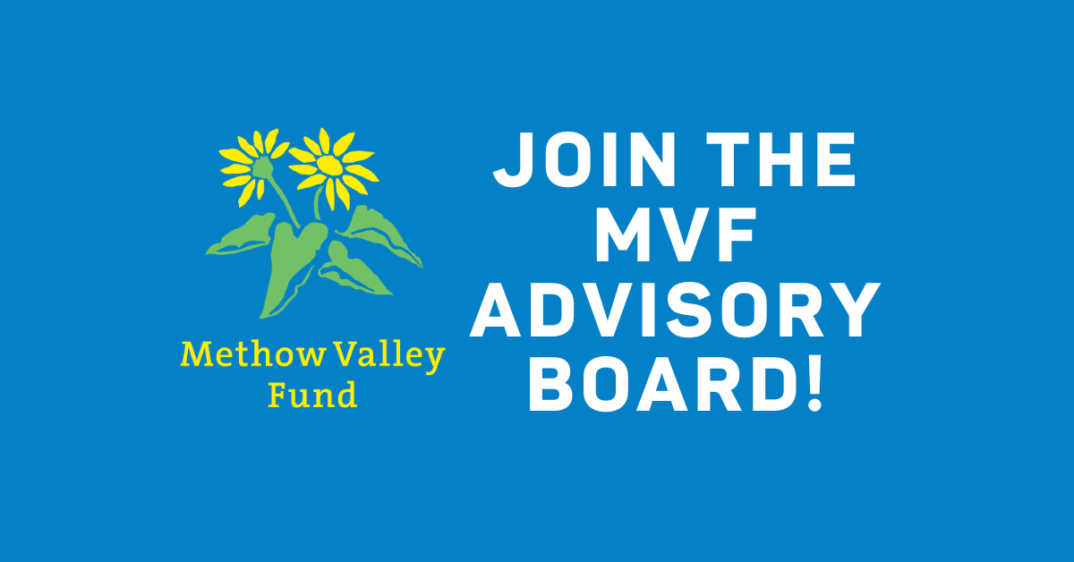 MVF Advisory Board - Web