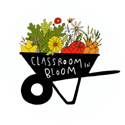 ClassroominBloom
