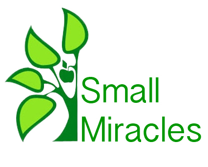 SmallMiracles