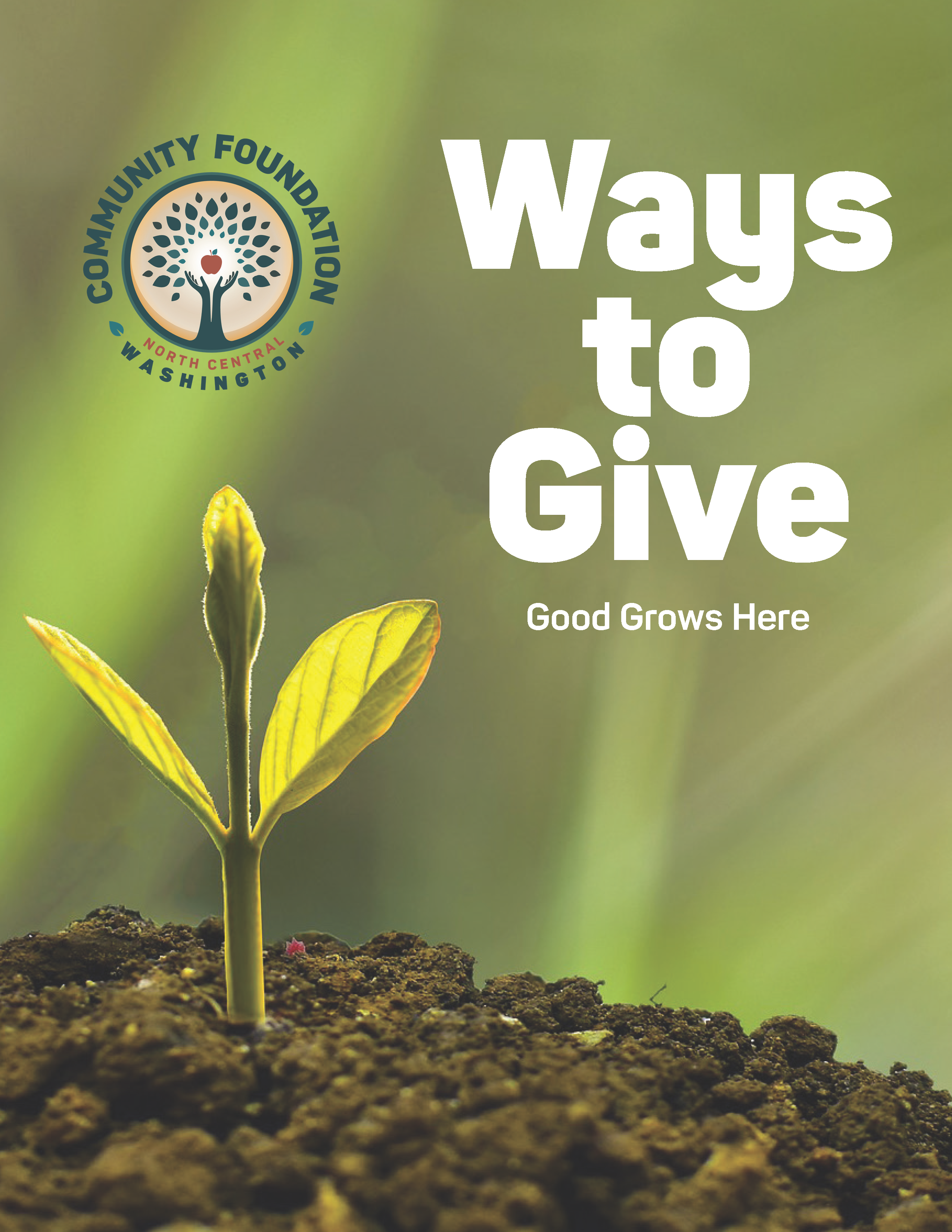 WaysToGiveBrochure_Page_1