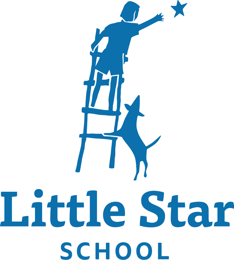Little Star Logo 2019
